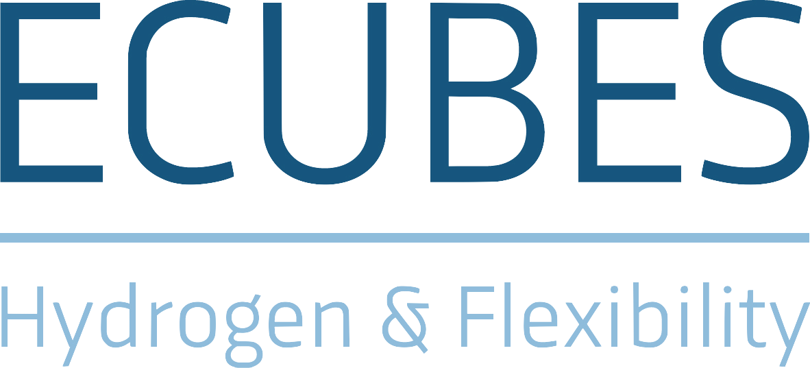 ECUBES Hydrogen & Flexibility